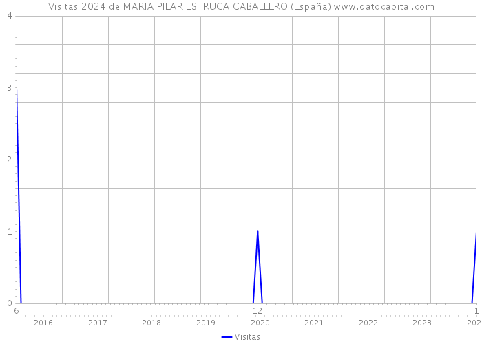 Visitas 2024 de MARIA PILAR ESTRUGA CABALLERO (España) 