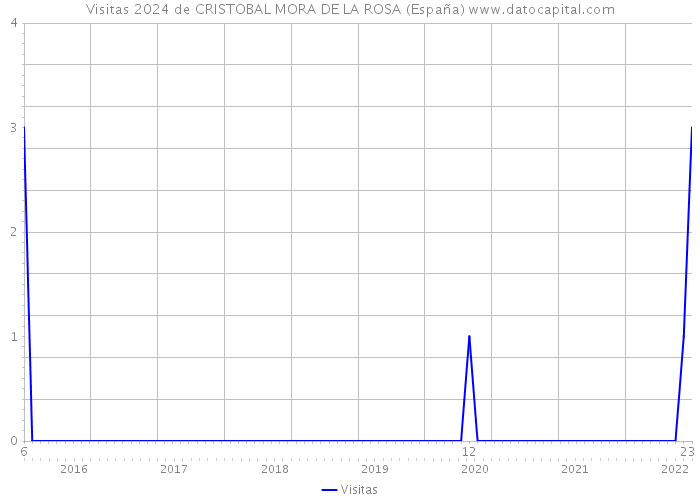 Visitas 2024 de CRISTOBAL MORA DE LA ROSA (España) 