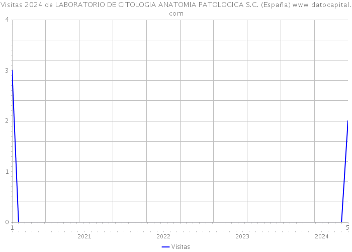 Visitas 2024 de LABORATORIO DE CITOLOGIA ANATOMIA PATOLOGICA S.C. (España) 
