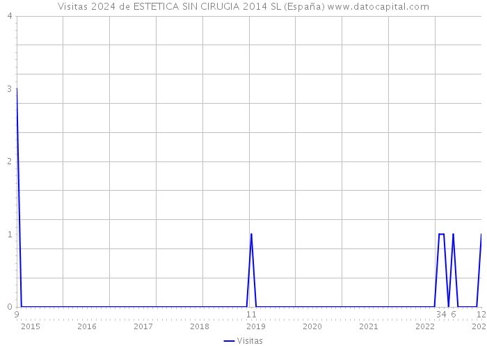 Visitas 2024 de ESTETICA SIN CIRUGIA 2014 SL (España) 