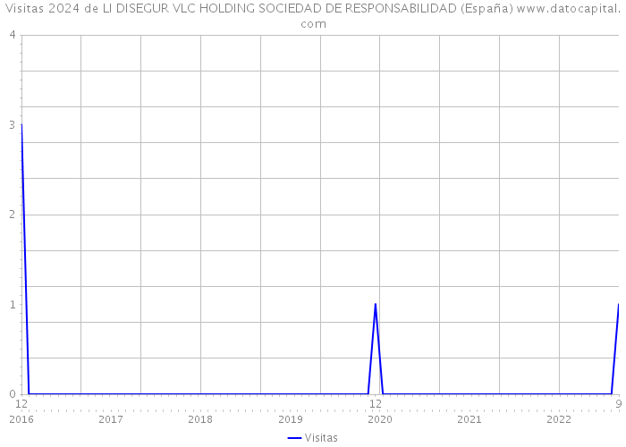 Visitas 2024 de LI DISEGUR VLC HOLDING SOCIEDAD DE RESPONSABILIDAD (España) 