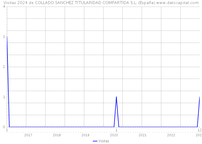 Visitas 2024 de COLLADO SANCHEZ TITULARIDAD COMPARTIDA S.L. (España) 