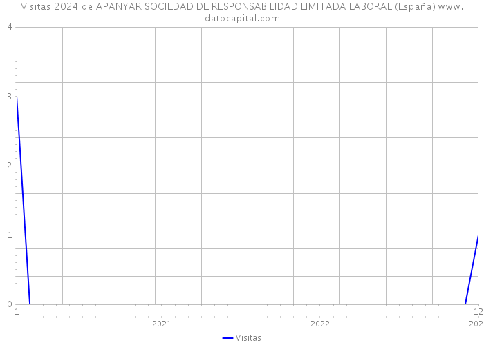 Visitas 2024 de APANYAR SOCIEDAD DE RESPONSABILIDAD LIMITADA LABORAL (España) 