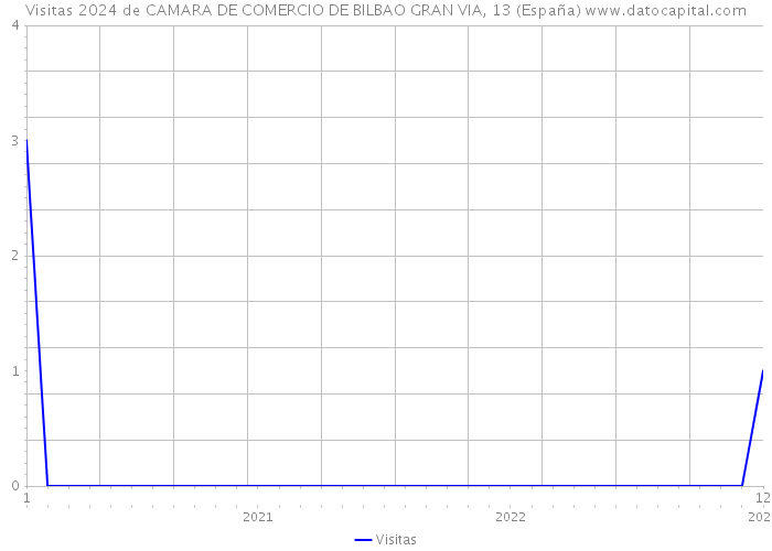 Visitas 2024 de CAMARA DE COMERCIO DE BILBAO GRAN VIA, 13 (España) 