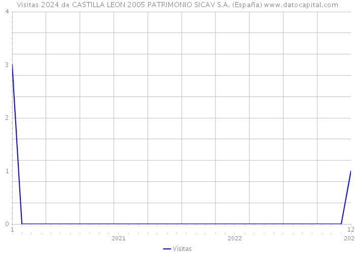 Visitas 2024 de CASTILLA LEON 2005 PATRIMONIO SICAV S.A. (España) 