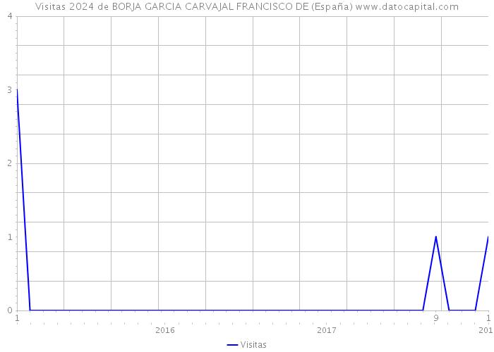 Visitas 2024 de BORJA GARCIA CARVAJAL FRANCISCO DE (España) 