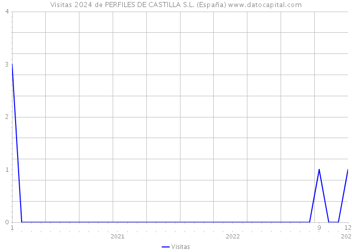 Visitas 2024 de PERFILES DE CASTILLA S.L. (España) 