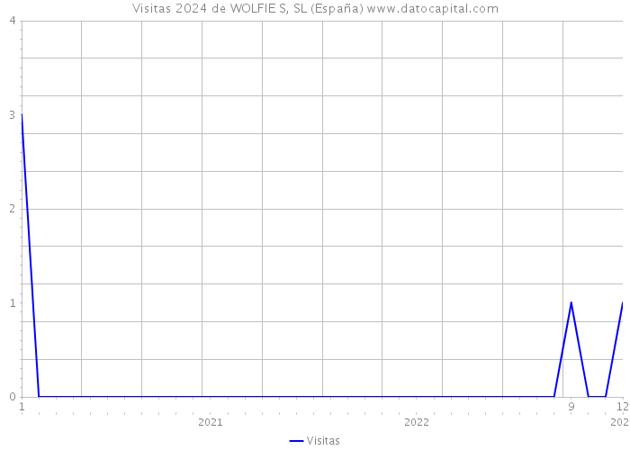 Visitas 2024 de WOLFIE S, SL (España) 