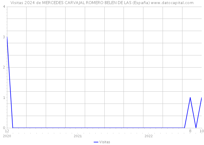 Visitas 2024 de MERCEDES CARVAJAL ROMERO BELEN DE LAS (España) 