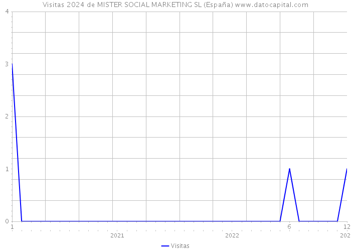Visitas 2024 de MISTER SOCIAL MARKETING SL (España) 