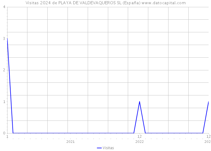Visitas 2024 de PLAYA DE VALDEVAQUEROS SL (España) 