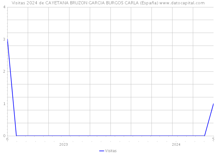 Visitas 2024 de CAYETANA BRUZON GARCIA BURGOS CARLA (España) 