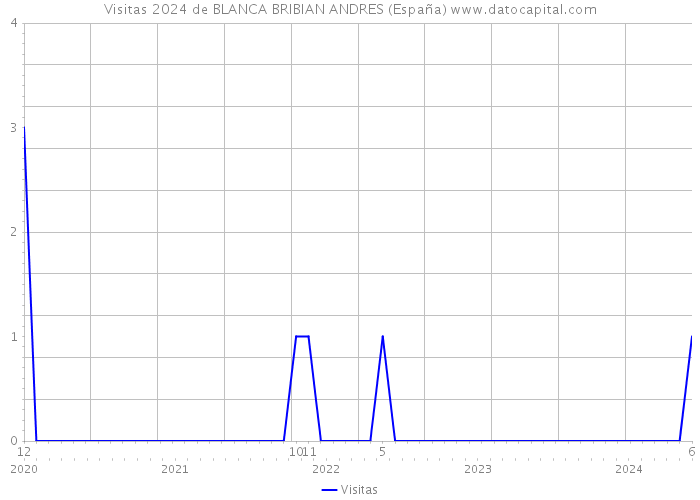 Visitas 2024 de BLANCA BRIBIAN ANDRES (España) 