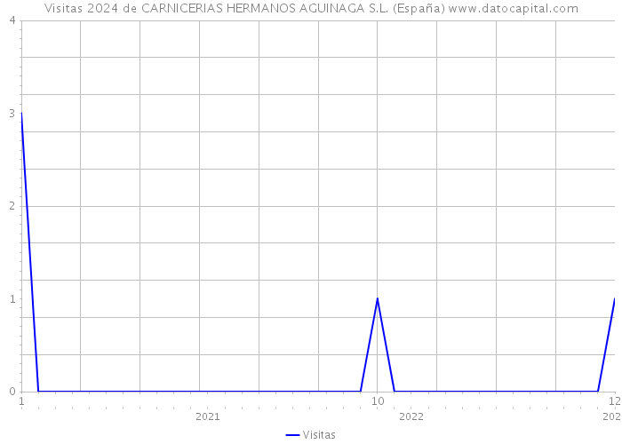 Visitas 2024 de CARNICERIAS HERMANOS AGUINAGA S.L. (España) 