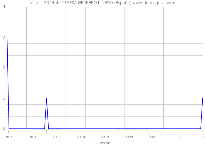 Visitas 2024 de TERESA HERRERO PINEDO (España) 