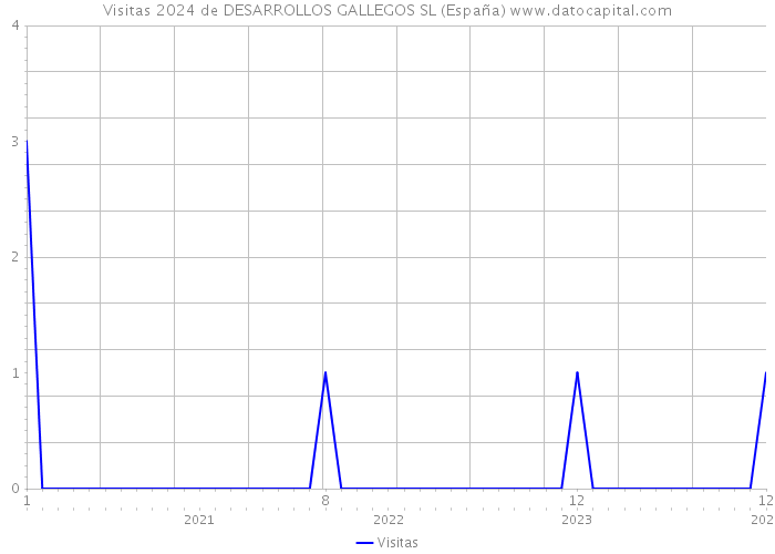 Visitas 2024 de DESARROLLOS GALLEGOS SL (España) 