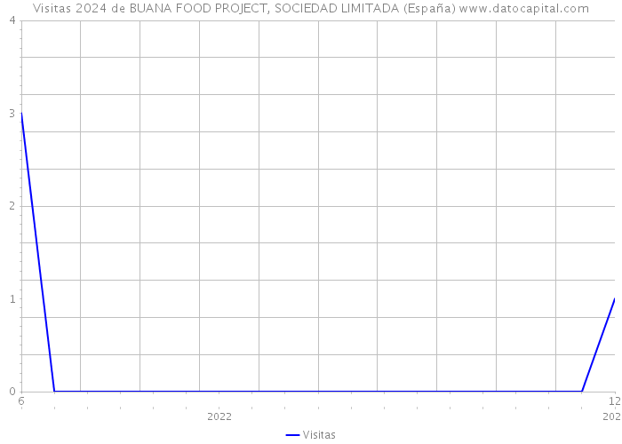 Visitas 2024 de BUANA FOOD PROJECT, SOCIEDAD LIMITADA (España) 