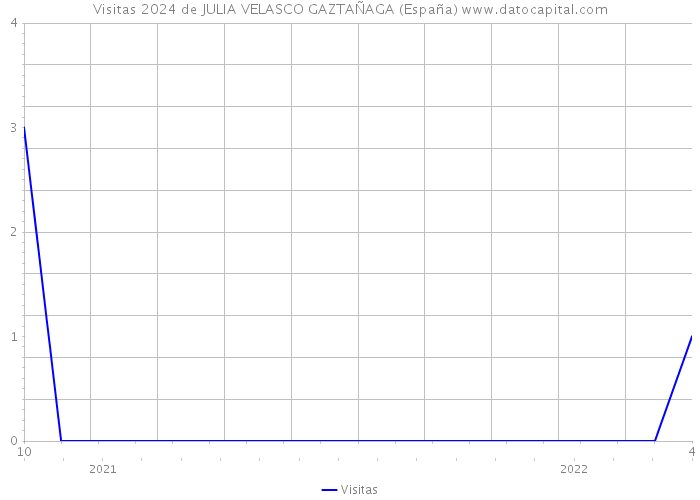 Visitas 2024 de JULIA VELASCO GAZTAÑAGA (España) 