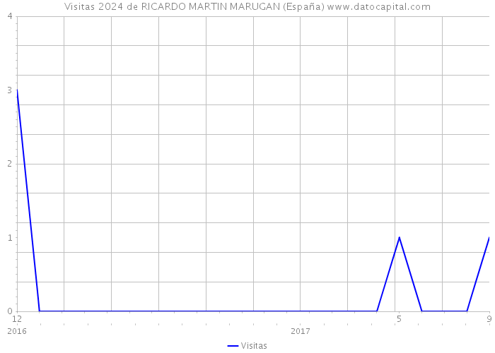 Visitas 2024 de RICARDO MARTIN MARUGAN (España) 