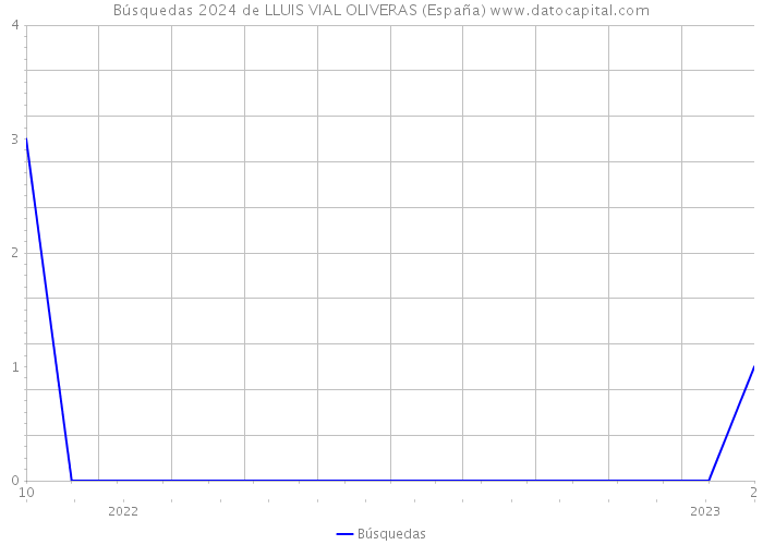 Búsquedas 2024 de LLUIS VIAL OLIVERAS (España) 