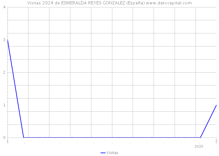 Visitas 2024 de ESMERALDA REYES GONZALEZ (España) 