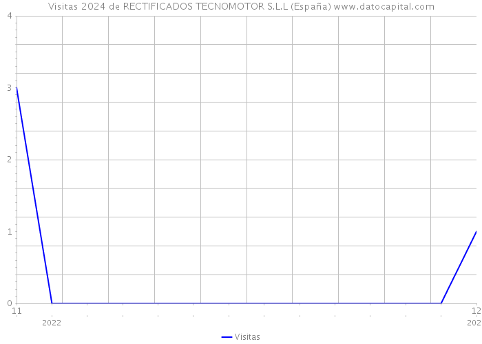 Visitas 2024 de RECTIFICADOS TECNOMOTOR S.L.L (España) 