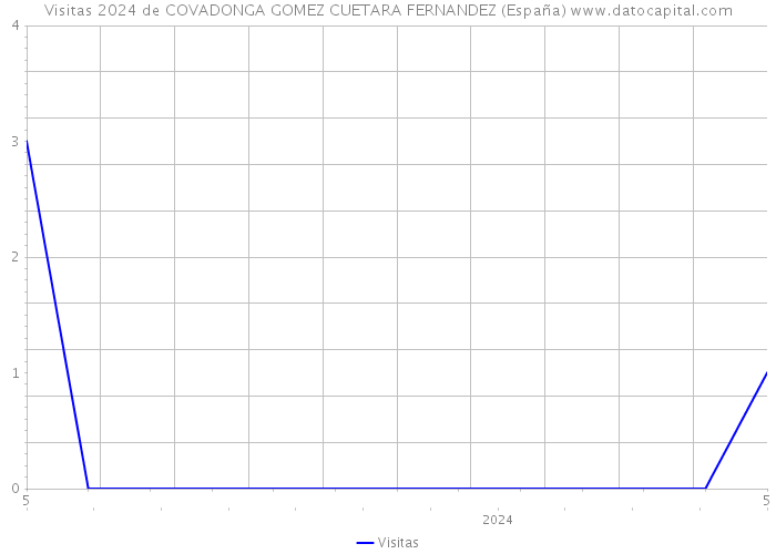 Visitas 2024 de COVADONGA GOMEZ CUETARA FERNANDEZ (España) 