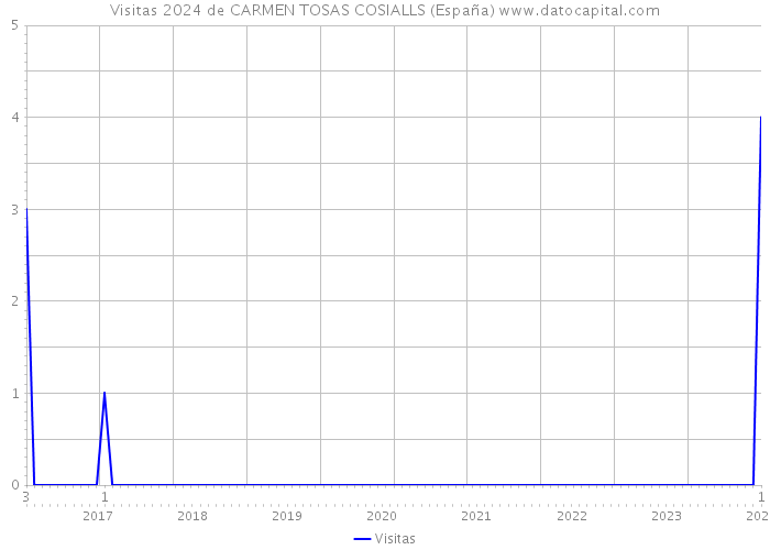 Visitas 2024 de CARMEN TOSAS COSIALLS (España) 