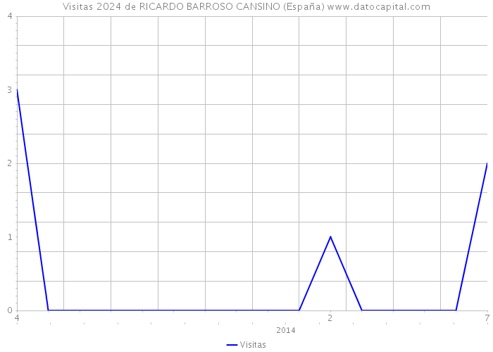 Visitas 2024 de RICARDO BARROSO CANSINO (España) 