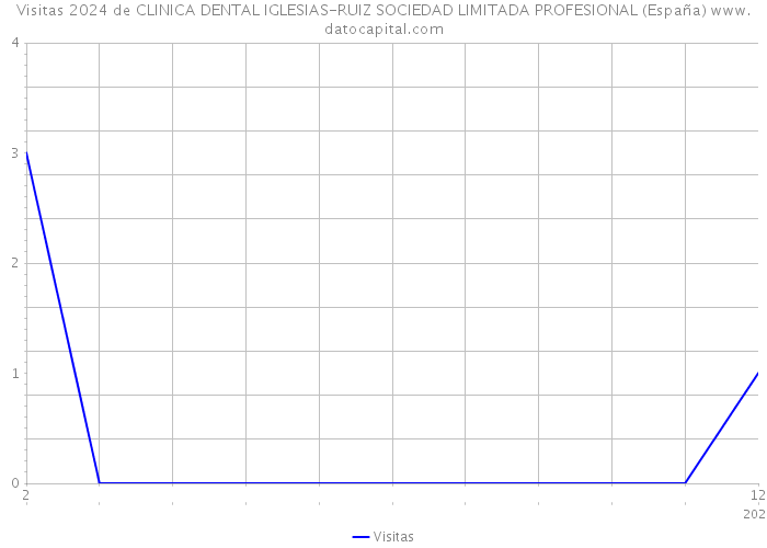 Visitas 2024 de CLINICA DENTAL IGLESIAS-RUIZ SOCIEDAD LIMITADA PROFESIONAL (España) 