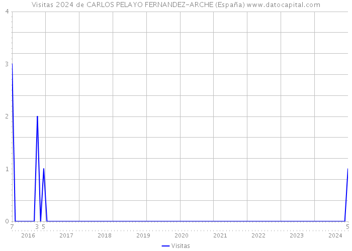 Visitas 2024 de CARLOS PELAYO FERNANDEZ-ARCHE (España) 