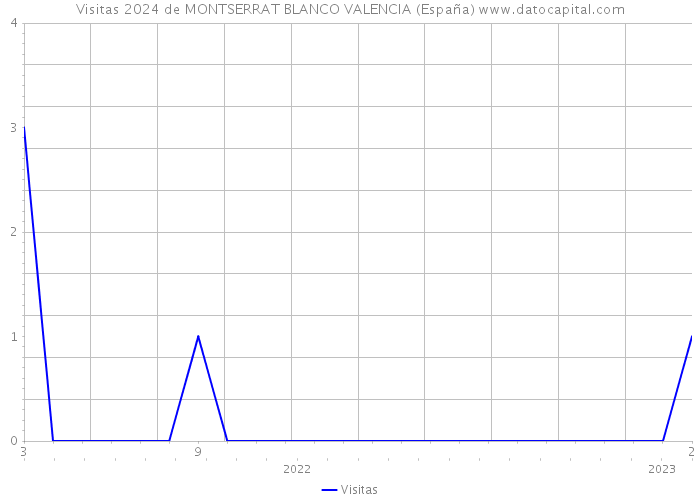 Visitas 2024 de MONTSERRAT BLANCO VALENCIA (España) 