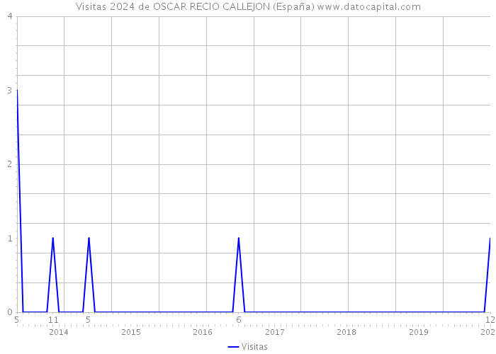 Visitas 2024 de OSCAR RECIO CALLEJON (España) 
