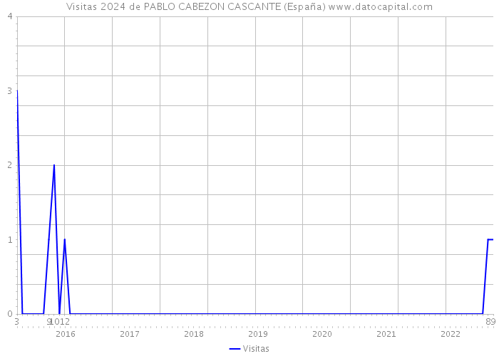 Visitas 2024 de PABLO CABEZON CASCANTE (España) 