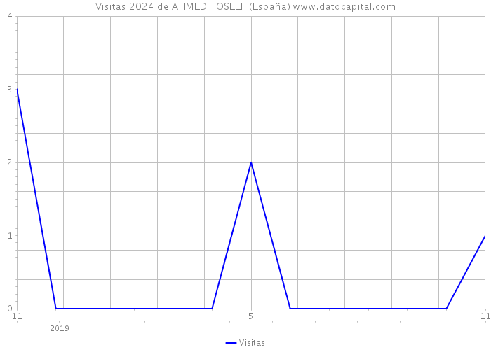 Visitas 2024 de AHMED TOSEEF (España) 