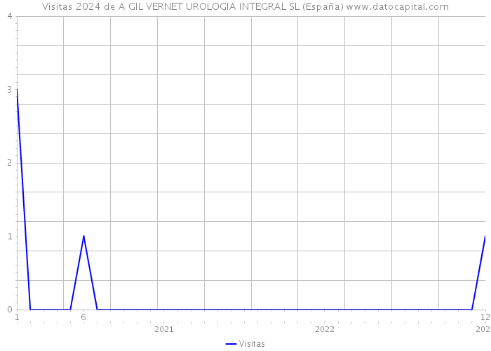 Visitas 2024 de A GIL VERNET UROLOGIA INTEGRAL SL (España) 