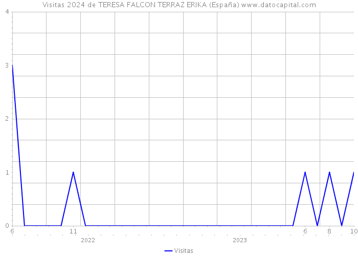 Visitas 2024 de TERESA FALCON TERRAZ ERIKA (España) 