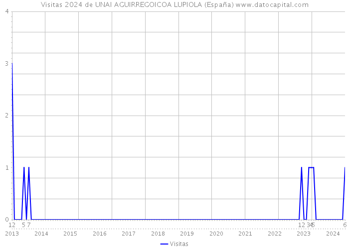 Visitas 2024 de UNAI AGUIRREGOICOA LUPIOLA (España) 