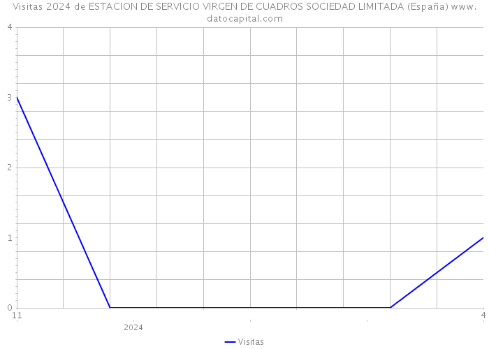 Visitas 2024 de ESTACION DE SERVICIO VIRGEN DE CUADROS SOCIEDAD LIMITADA (España) 