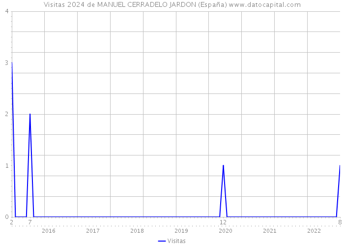 Visitas 2024 de MANUEL CERRADELO JARDON (España) 