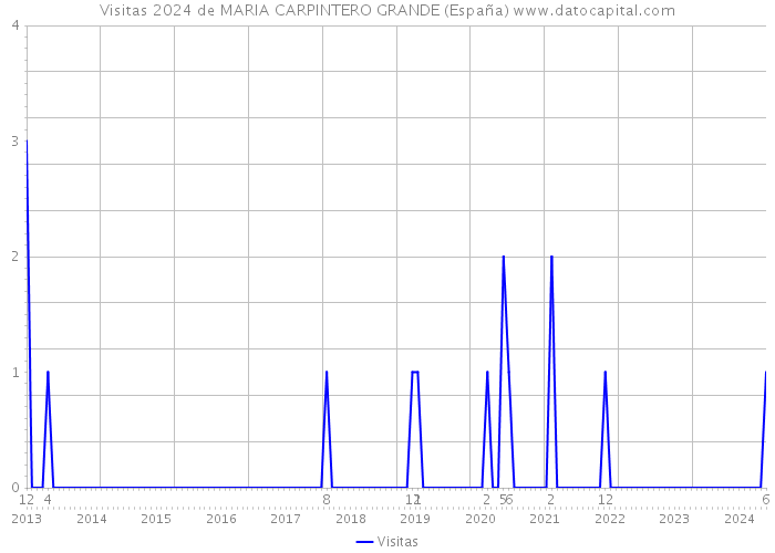 Visitas 2024 de MARIA CARPINTERO GRANDE (España) 