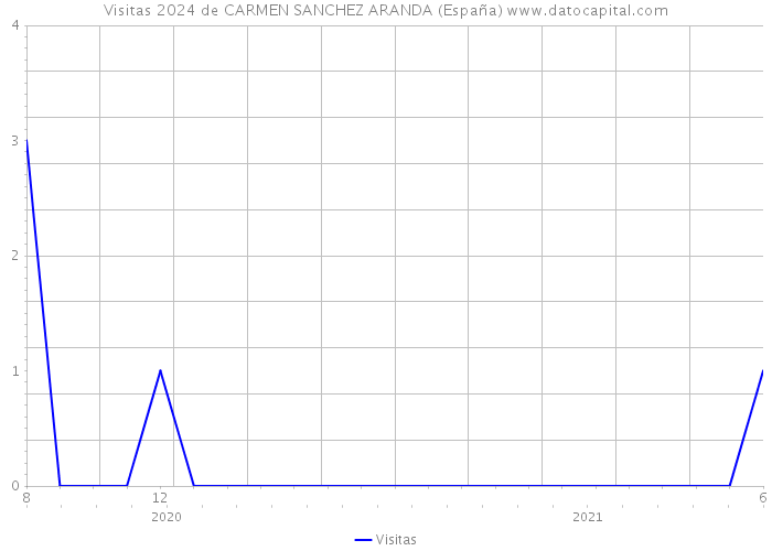 Visitas 2024 de CARMEN SANCHEZ ARANDA (España) 