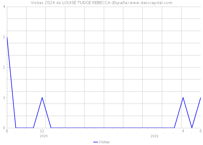 Visitas 2024 de LOUISE TUDGE REBECCA (España) 