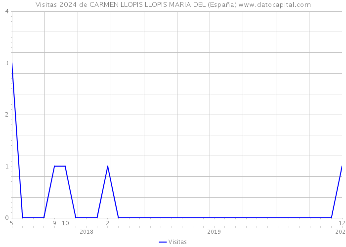 Visitas 2024 de CARMEN LLOPIS LLOPIS MARIA DEL (España) 