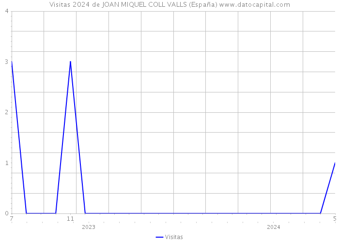 Visitas 2024 de JOAN MIQUEL COLL VALLS (España) 