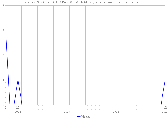 Visitas 2024 de PABLO PARDO GONZALEZ (España) 