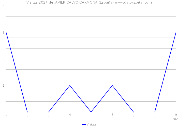 Visitas 2024 de JAVIER CALVO CARMONA (España) 