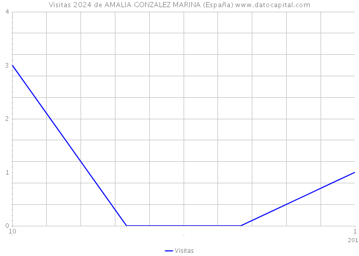 Visitas 2024 de AMALIA GONZALEZ MARINA (España) 