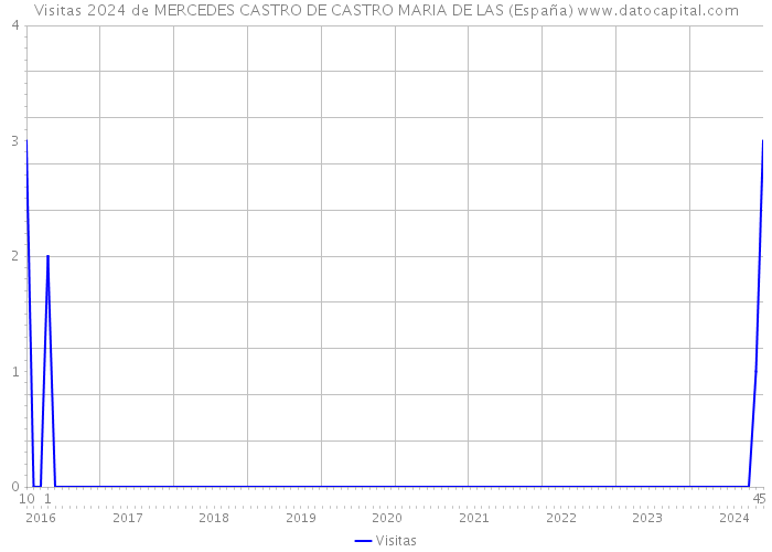 Visitas 2024 de MERCEDES CASTRO DE CASTRO MARIA DE LAS (España) 