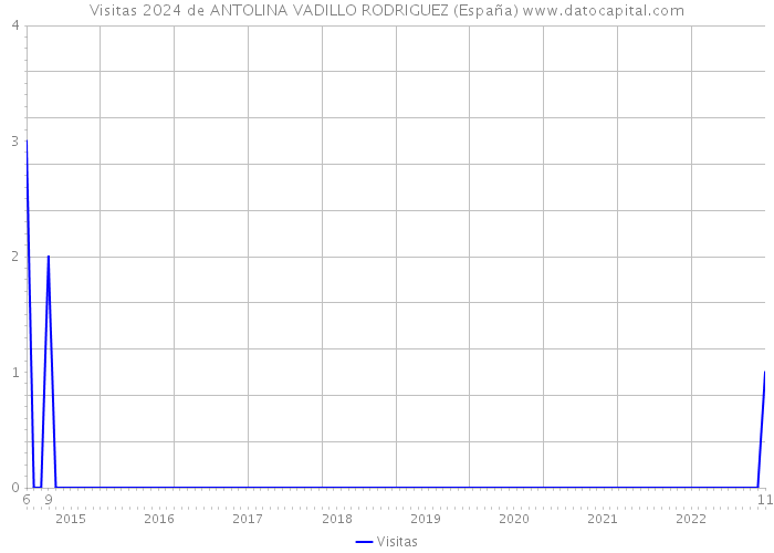 Visitas 2024 de ANTOLINA VADILLO RODRIGUEZ (España) 